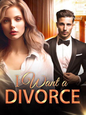 I Want a Divorce (Abigail Quinn and Sean Graham) Novel