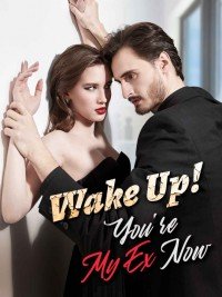Wake Up! You're My Ex Now by Sherri Roman Novel