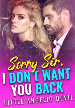 Sorry Sir I Don't Want You Back (Cherise and Hudson) Novel